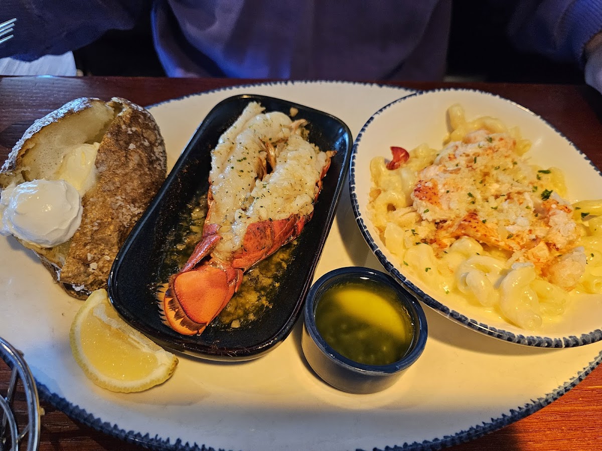 Red Lobster-3
